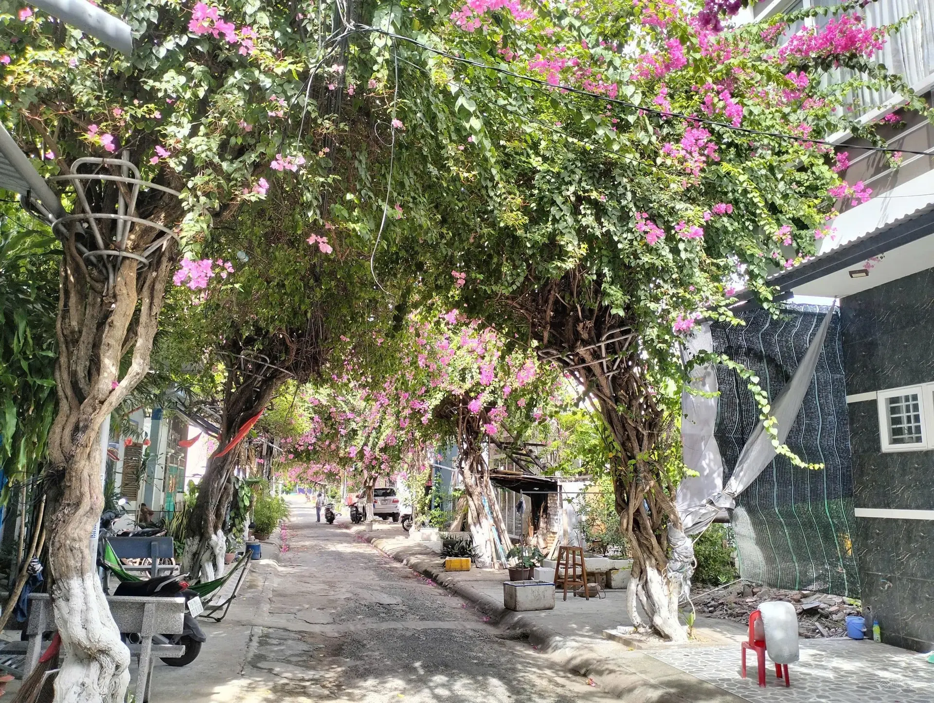 Bán nhà 2 mặt tiền đường Bạch Thái Bưởi Hòn Rớ 1, Nha Trang