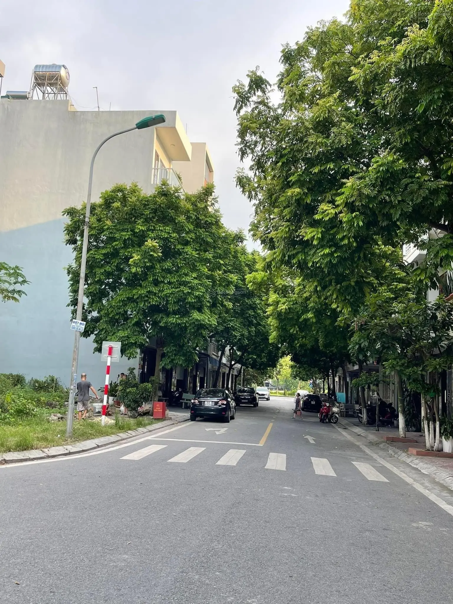Bán lô đất góc 2 mặt phố Trần Nguyên Đán, Hải Dương. Diện tích 83,5m2, giá 6,01 tỷ