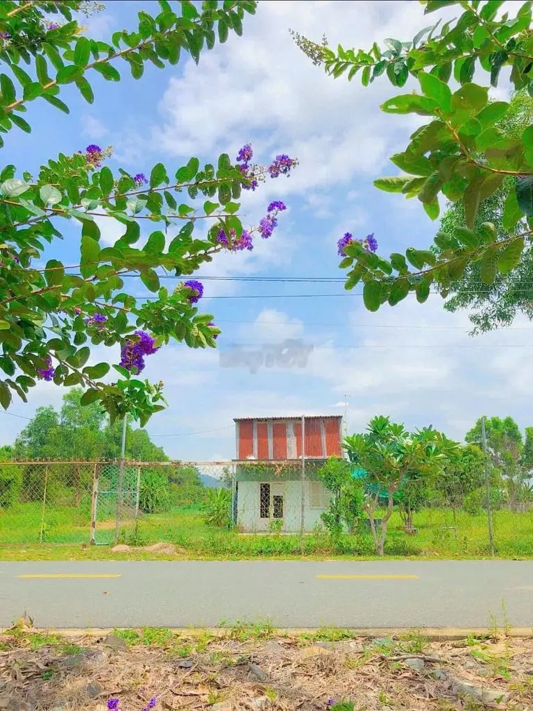 BÁN 1140M2 LONG MỸ PHƯỚC HẢI ,VIEW NÚI MINH ĐẠM GIÁ 3,2 TỶ TL