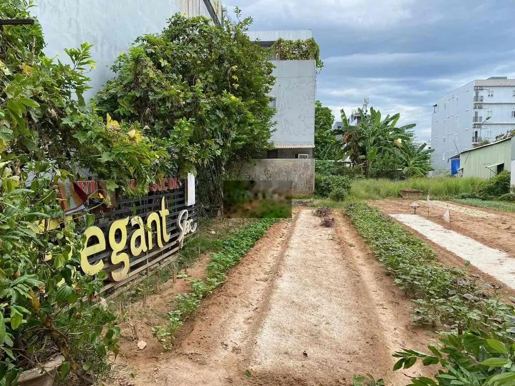 Bán Lô Đất Đinh Đức Thiện Kẹp công viên 10m khu B phương trang