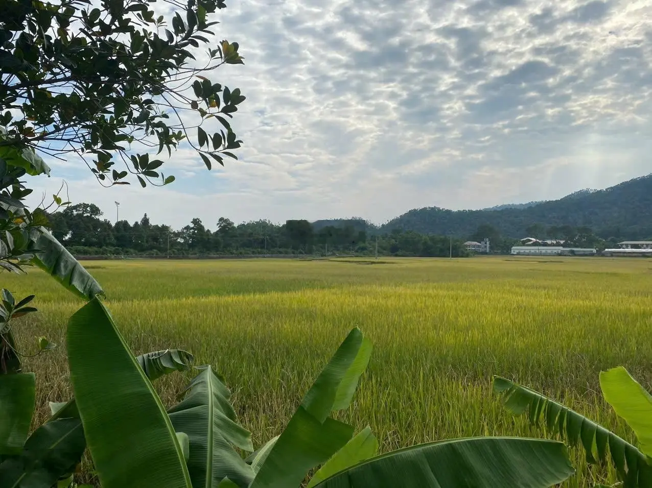 Bán đất tân yên, hồng kỳ, sóc sơn. view đẹp, gần sân golf. gần nhiều khu nghỉ dưỡng.