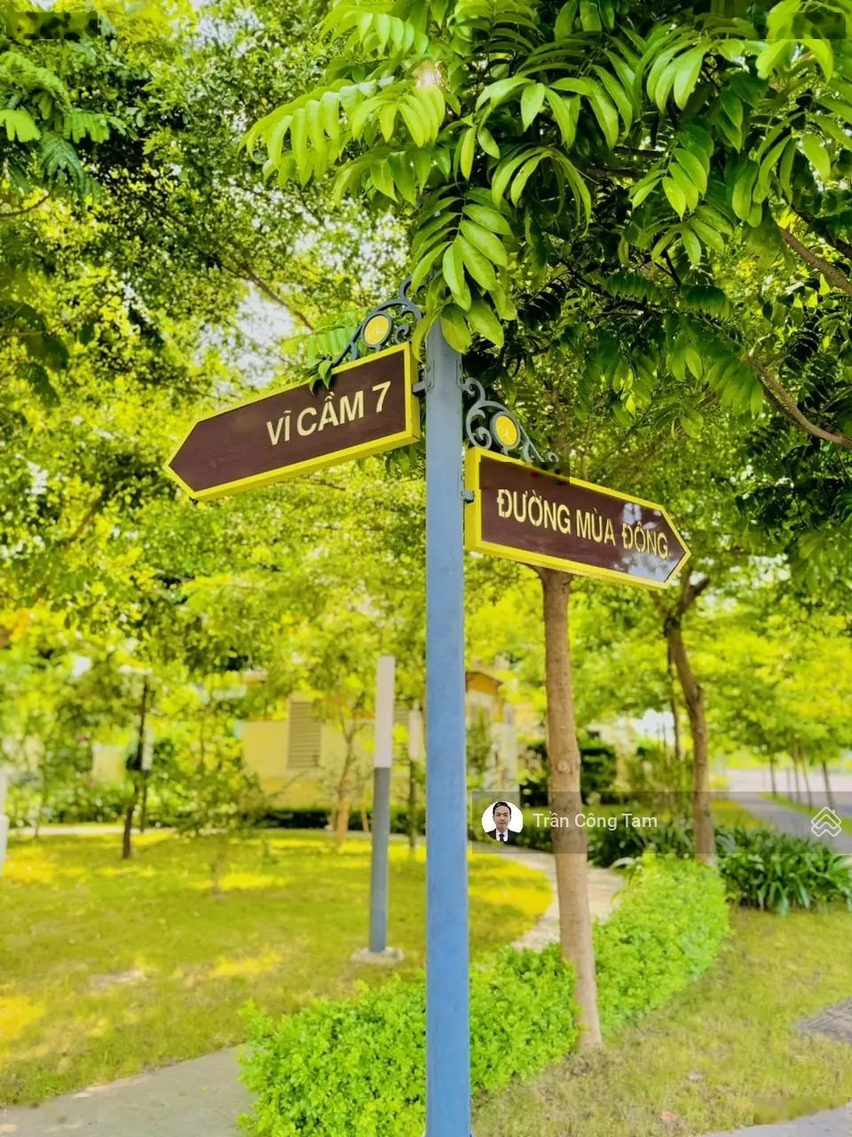 Tổng hợp quỹ liền kề, biệt thự giá cực chất tại an lạc green symphony,