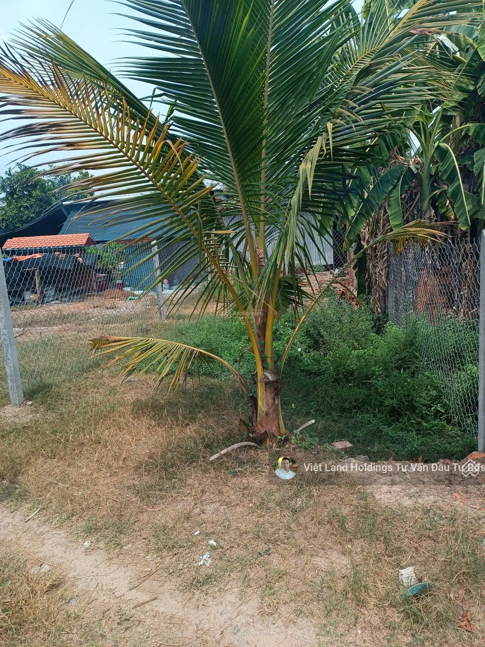 Cam kết thông tin chính xác - Chỉ 300 triệu sở hữu ngay lô đất view kênh đường xe hơi tới đất SHR
