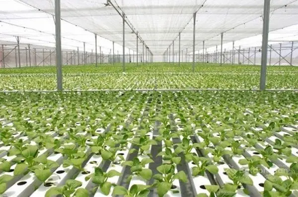 Bán 5576m2 đất mặt tiền đường chính vào khu farm Hoà Thắng, MT đường 10m, cách biển 15 phút đẹp