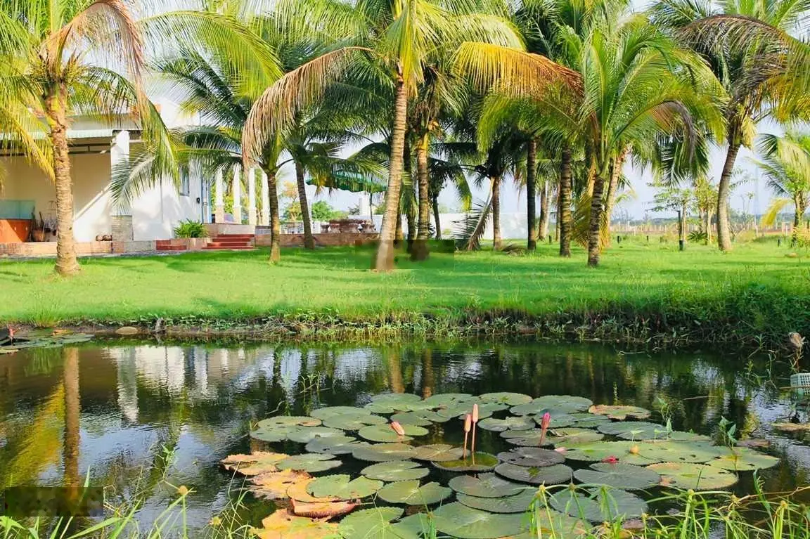 Nhà Vườn Nghỉ Dưỡng 6.000m2 gần UBND Trung Lập Hạ chỉ 1,85tr/m2