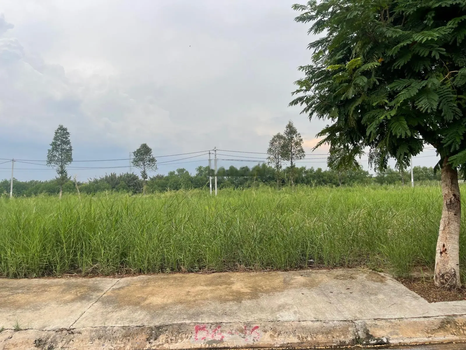 Đường số 1 DA Saigon Village, trục cổng phụ dự án, nền đất 80m2, sạch đẹp không hạ tầng, giá 1tỷ950