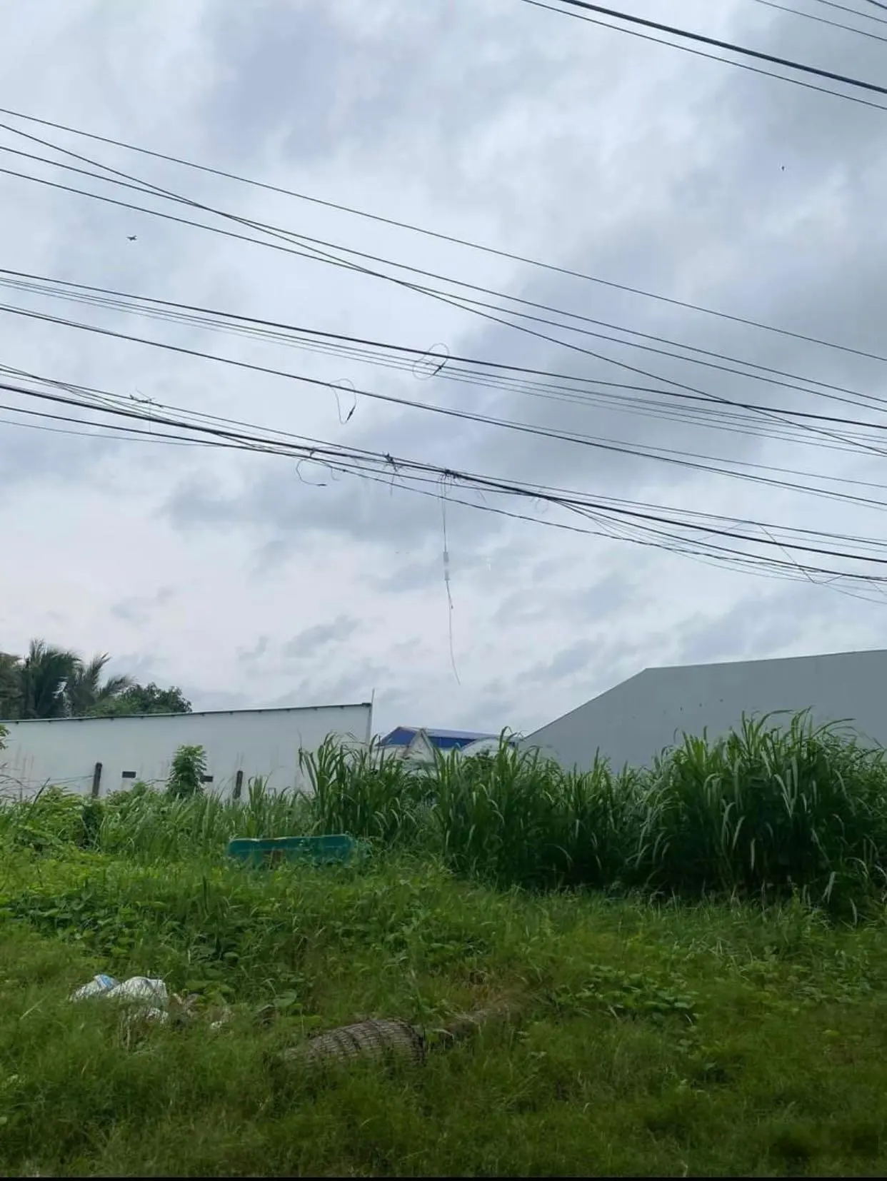 Bán Đất Đường Nguyễn Văn Dương Ngay Công Viên Võ Văn Tần , DT : 5 x 20 ( 100m2) , SHR , 800 TRIỆU