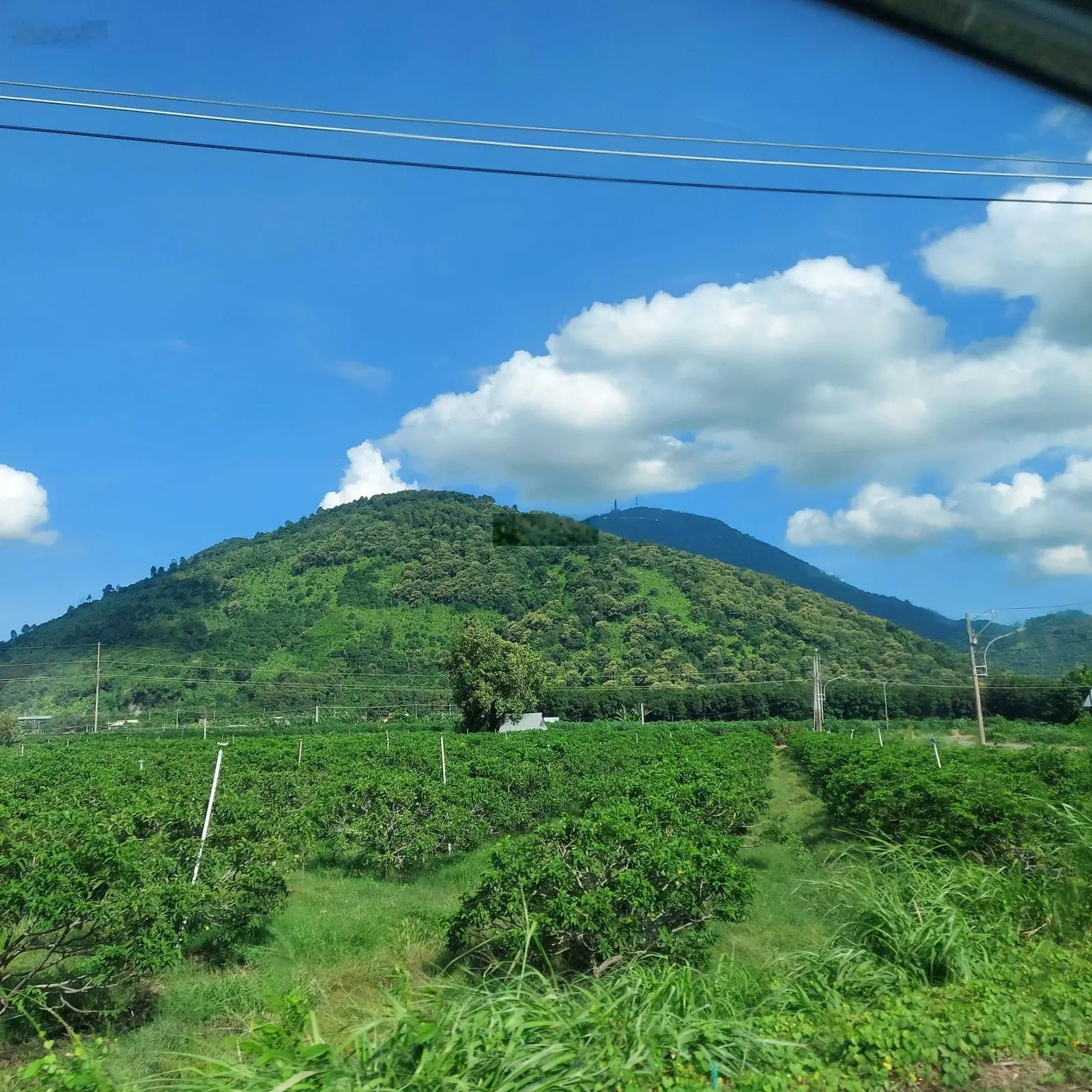 Chính chủ cần bán đất TP Tây Ninh view núi Bà Đen, giá 650tr