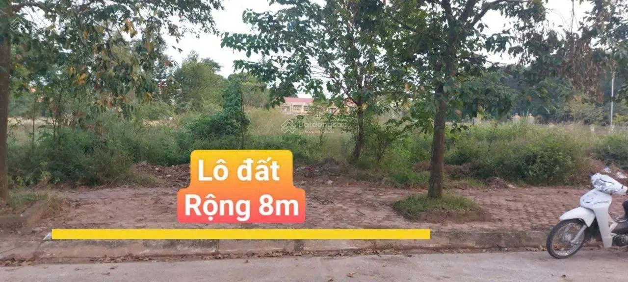 bán đất mặt bằng 1279 Quảng Hưng sau ủy ban phường mặt tiền 8m đương 10m sổ đỏ xây tự do vỉ hè 5m