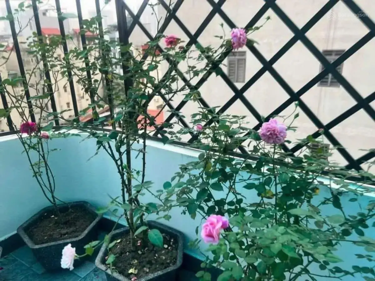 Lấy đâu ra! Nhà đẹp xây mới - cạnh Royal 6 tầng thang máy 40m2 - giá chỉ 8.3tỷ - gần phố
