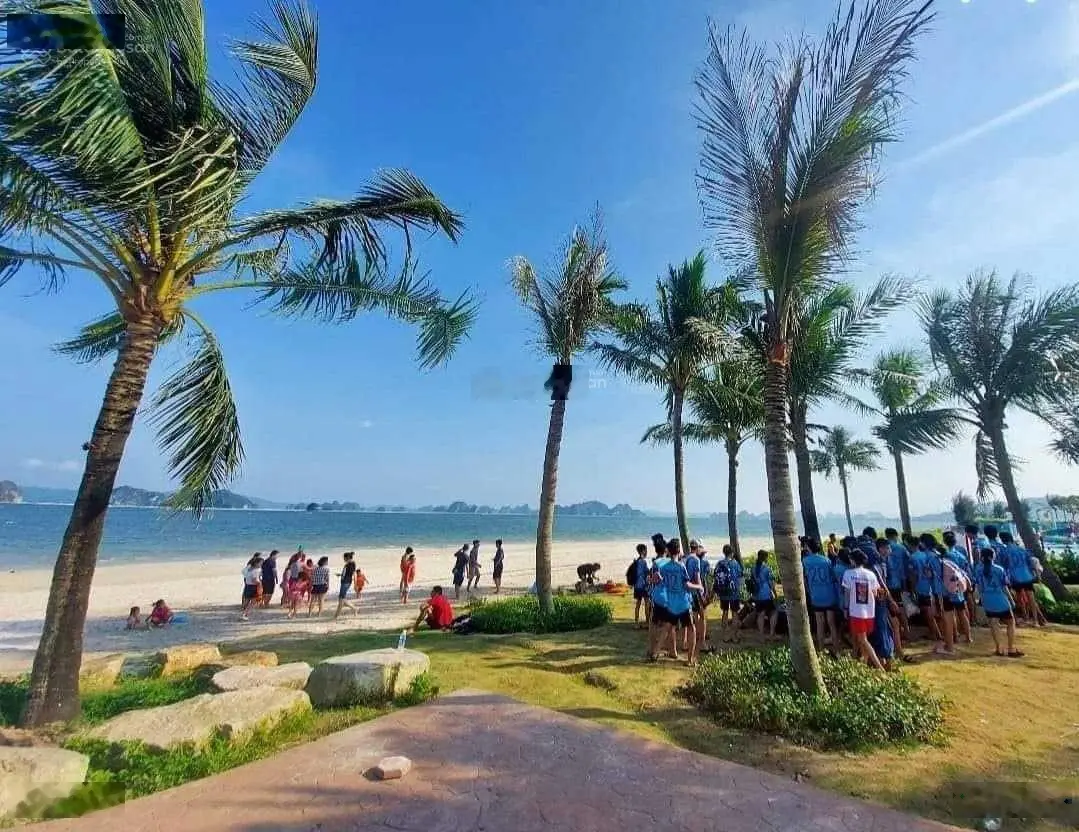 Đất trục thông biển, view quảng trường biển, cạnh nhà hàng 5 sao, DT 87,5m2,sổ đỏ, giá 3,6 tỷ