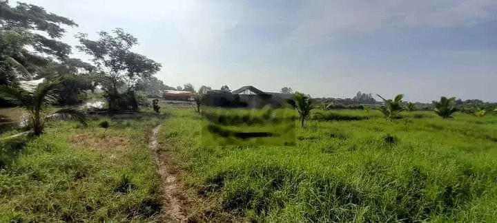 ĐẤT VƯỜN DỪA THỊ TRẤN BA TRI BẾN TRE