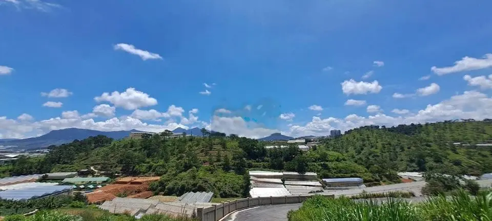 Bán Lô 350m2thổ cư giá 800Triệu có View rừng thông và đồi núi cực đẹp