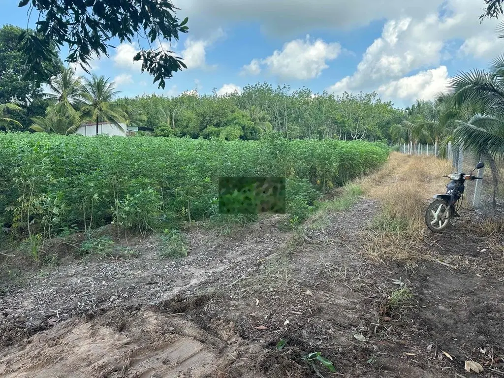 Đất an cơ 7 công 3. có 320m2 thổ cư