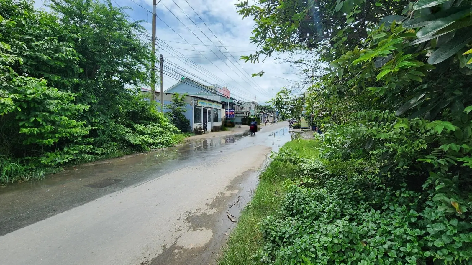 Bán đất MT 826C , Xã Đông Thạnh, Cần Giuộc,Long An 4,5HA giá 1tr/m2 qh full hồng