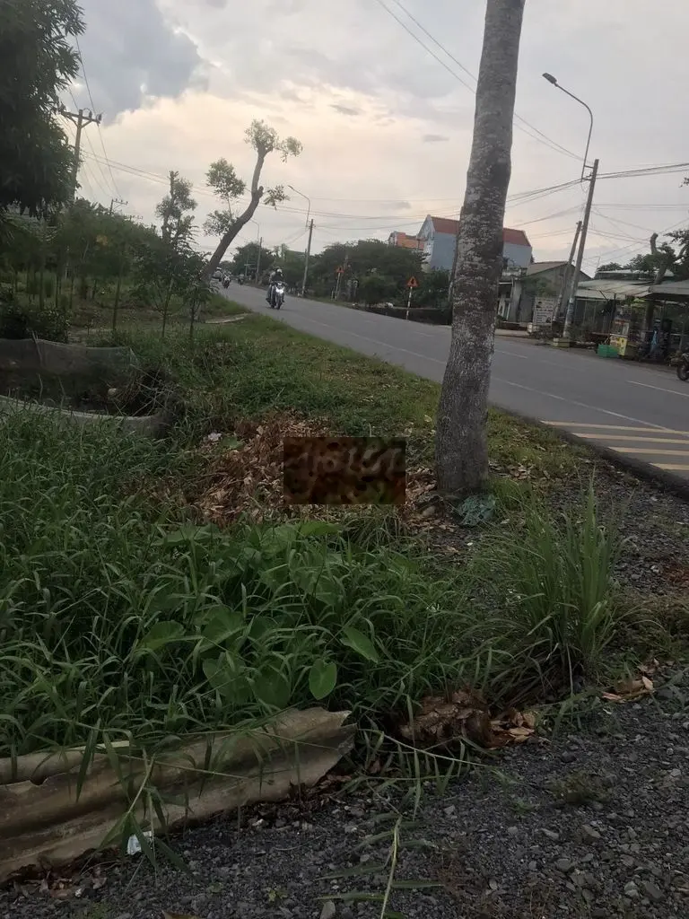 Quốc lộ 50 bán 200m2 thổ cư có căn nhà cấp 4 tại Cần Giuộc, Long AN