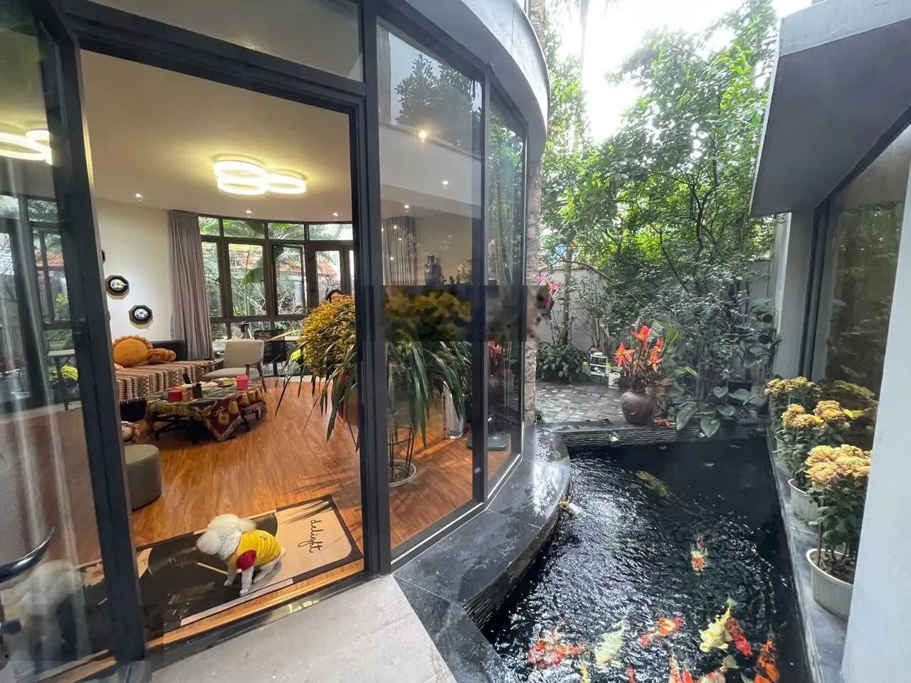 Siêu hot căn biệt thự 3 tầng tại Xóm Chùa, Quảng An, Tây Hồ