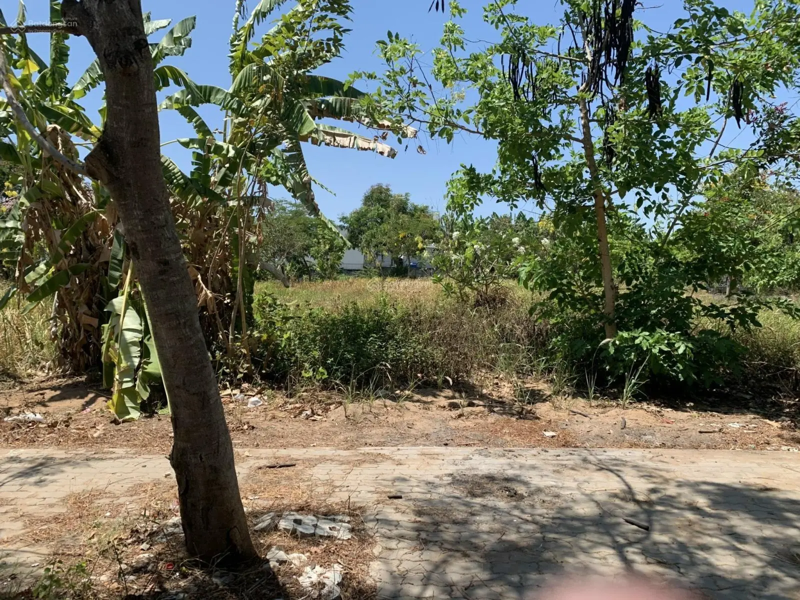 Bán nền view công viên, dự án KDC Nam Sài Gòn - Long Hậu giá ngộp, ưu điểm xây dựng tự do