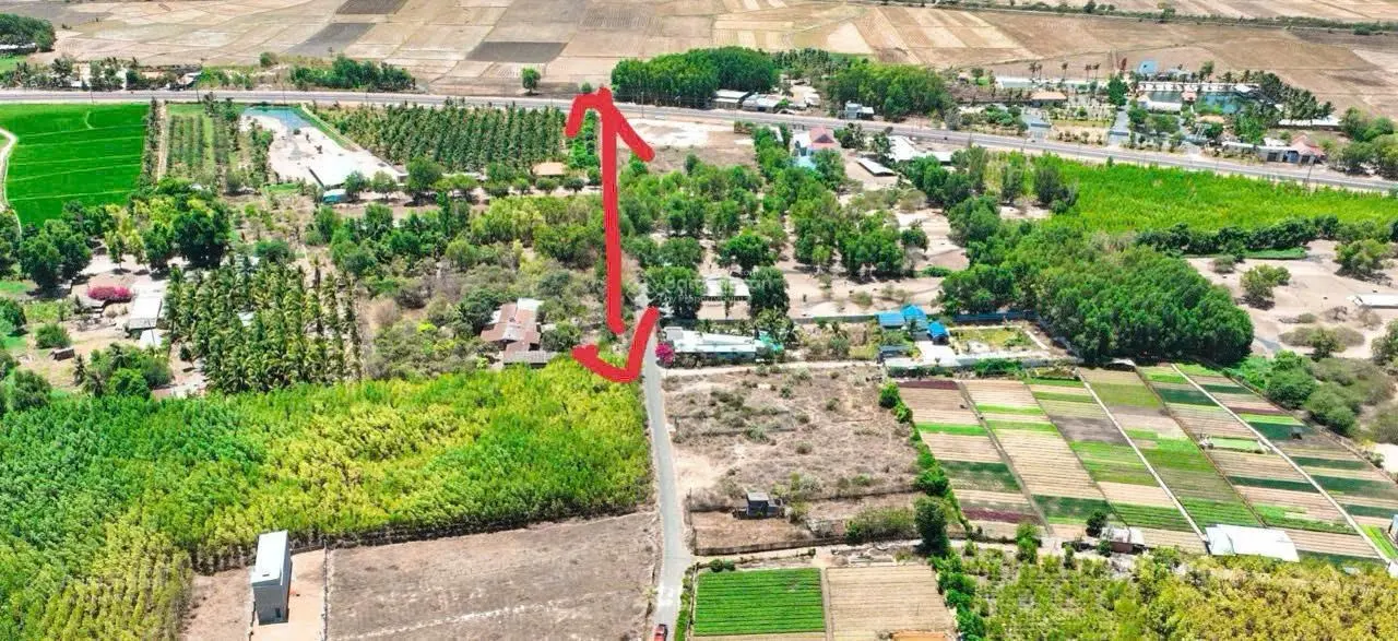 RẺ ĐẸP - LONG MỸ - ĐẤT BIỂN PHƯỚC HẢI - ĐẤT ĐỎ - BRVT - CÁCH TL44B 300M