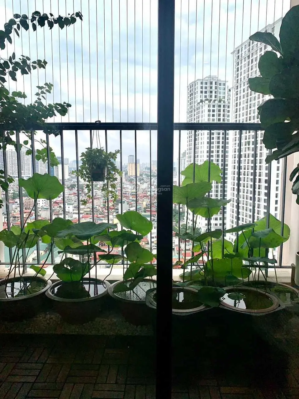 Chuyển nhượng chung cư King Palace 11/2024 - xem nhà 24/7 - khách mua làm việc trực tiếp chủ nhà