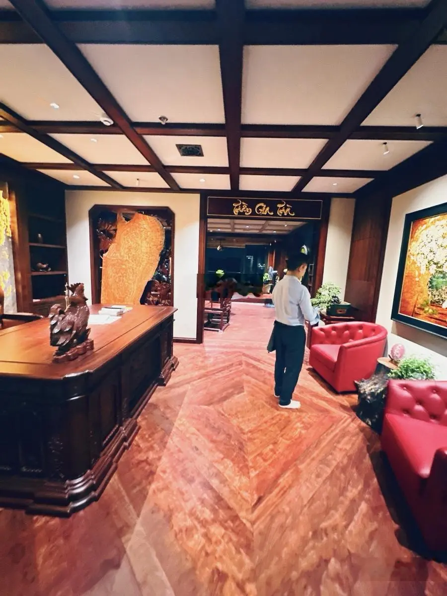 Bán gấp Biệt thự sân vườn Dịch Vọng, 271m2 nhỉnh 60 tỷ, hầm để xe, ô tô tránh.