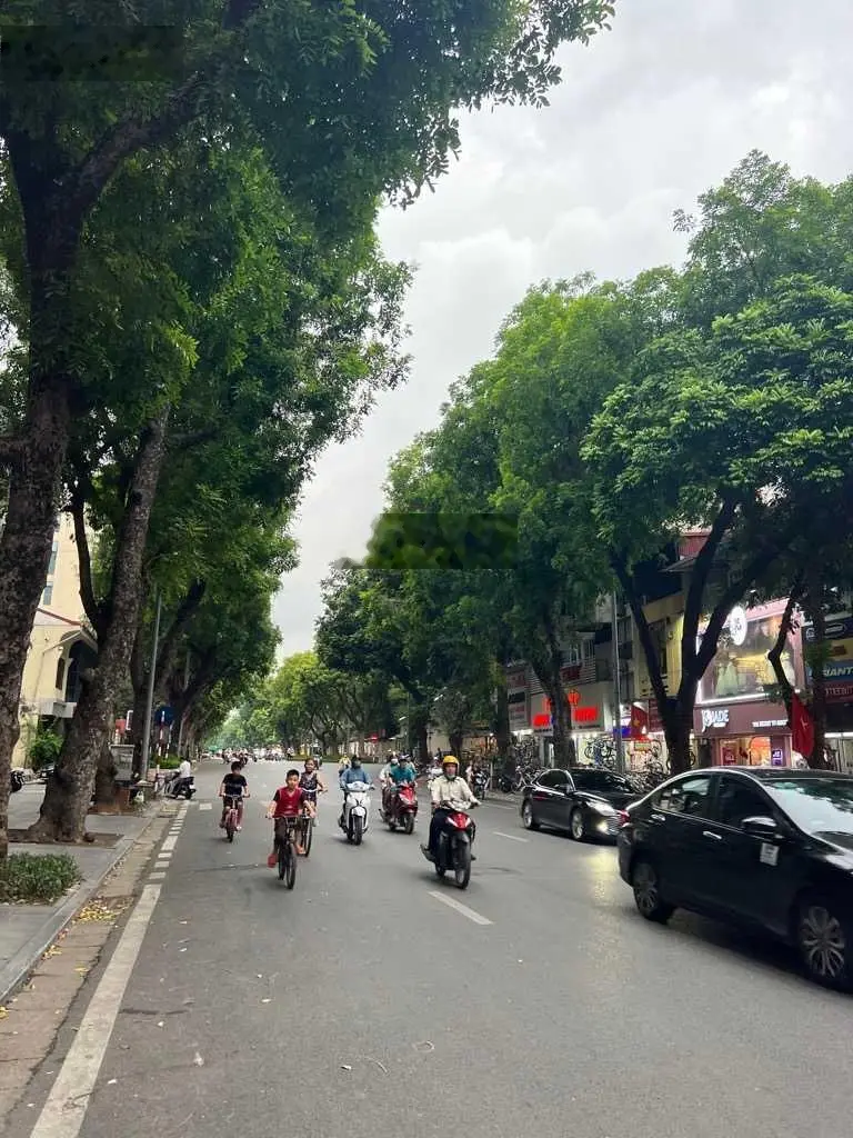 MẶT PHỐ BÀ TRIỆU, 21M*4 TẦNG, MT 3.3M, NHỎ XINH, HIẾM BÁN, KINH DOANH ĐA DẠNG, DÒNG TIỀN TỐT