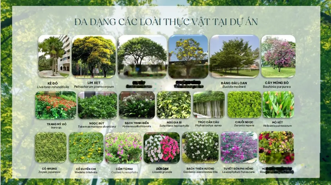Ưu đãi đặt cọc 0 đồng 212 căn nhà phố, biệt thự The Meadow Bình Chánh từ Gamuda Land