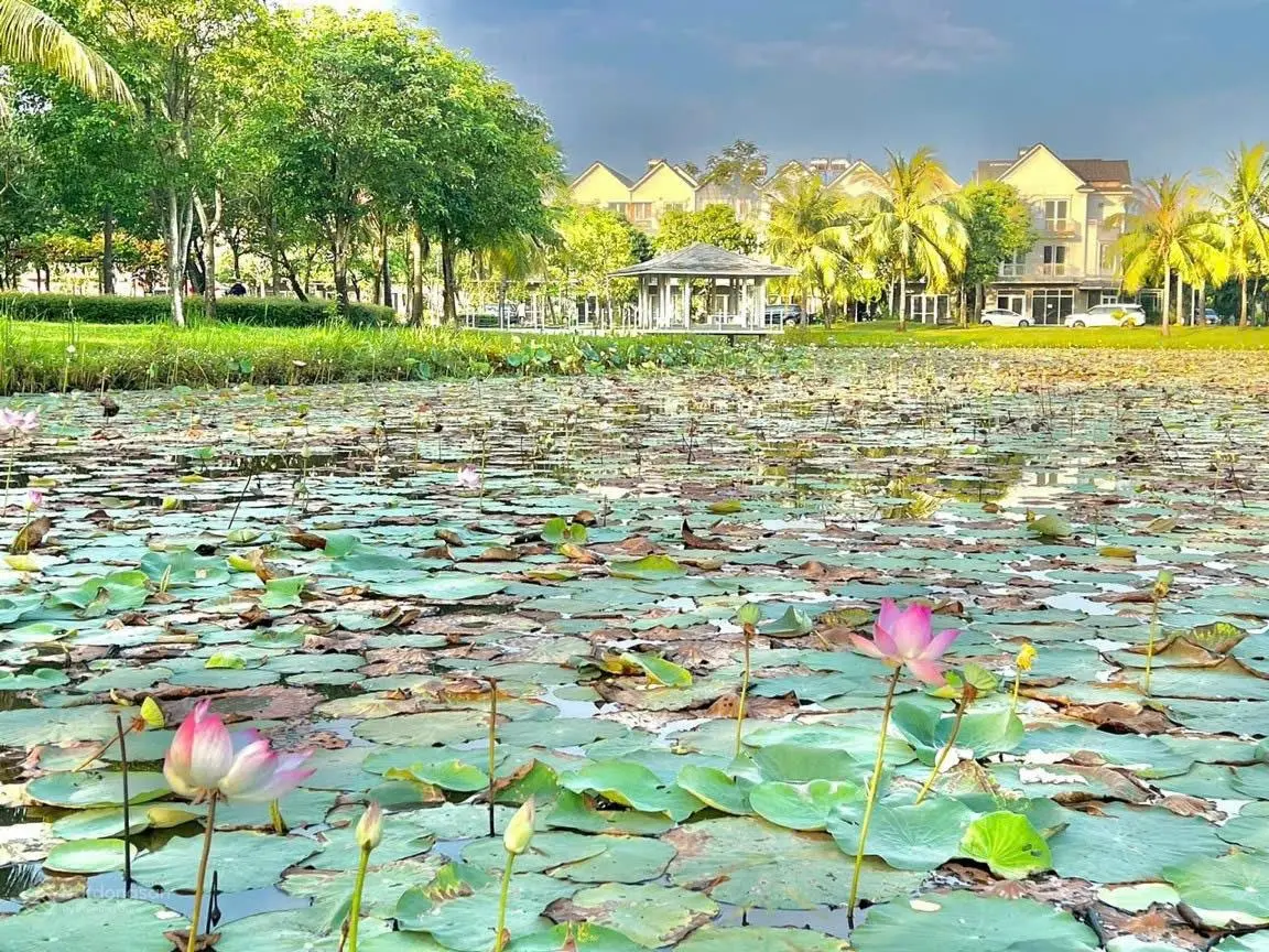 Bán nhanh căn nhà phố Park Riverside hoàn thiện đã có sổ giá 9,2 tỷ , làm việc chủ không giá ảo