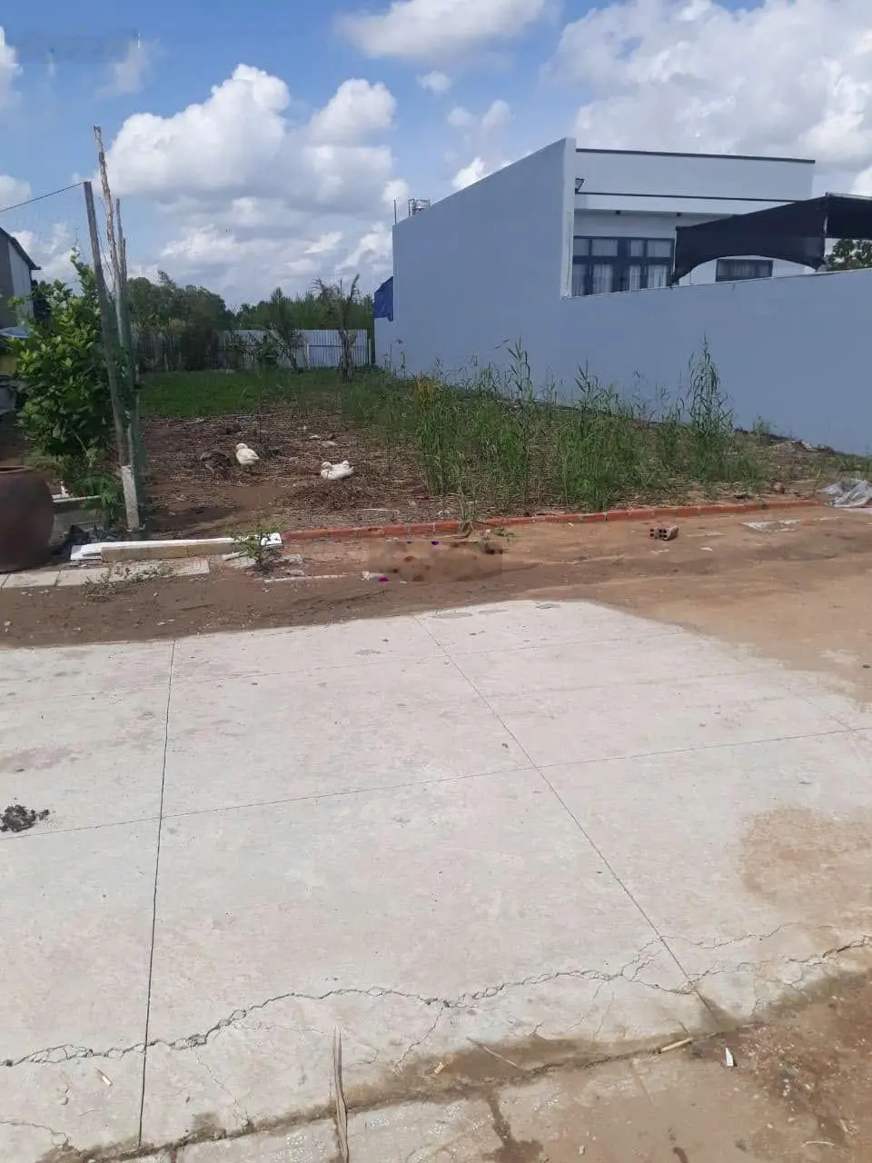 Ngay tại Phú Khương, Bến Tre cần bán gấp nền thổ cư 102m2, SHR, bao sang tên, hỗ trợ GPXD