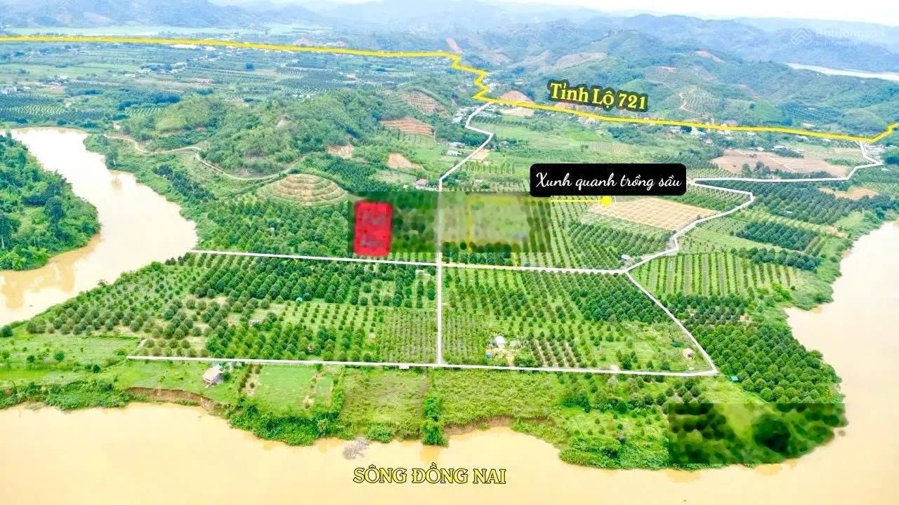 Hàng hiếm tại đường ĐT 721 chỉ 340 triệu VND - 250m2 đất Đạ Tẻh - Lâm Đồng sẵn sổ công chứng
