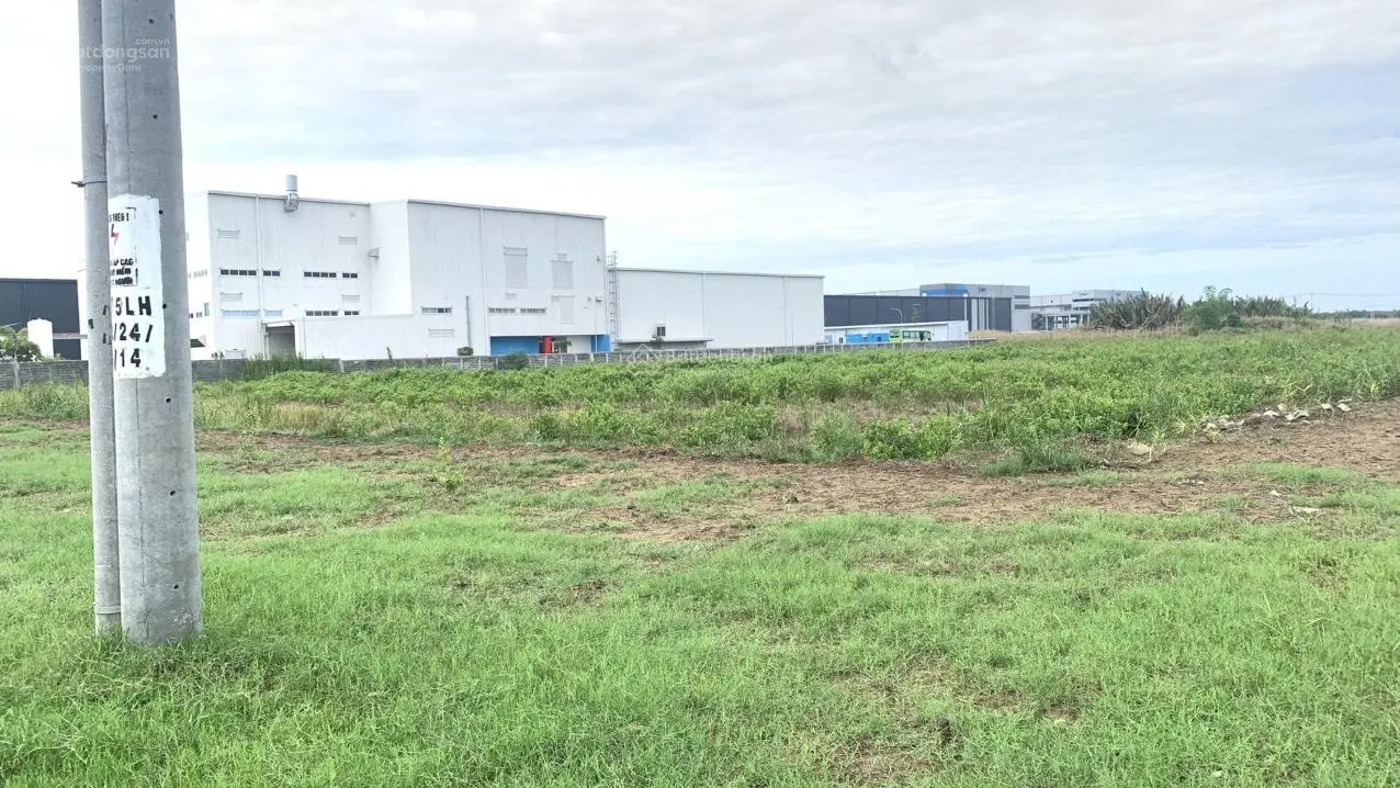 Bán lô đất khu công nghiệp Thuận Đạo. Huyện Bến Lức