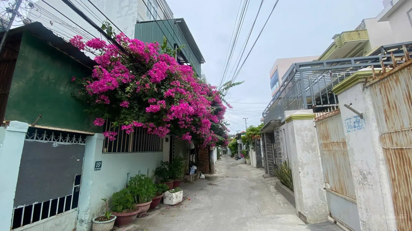 Giá 46tr/m2 Bán nhà giá bằng bán đất mặt tiền đường Lê Văn Tám _ Nha Trang- Ngang 8,7m đẹp