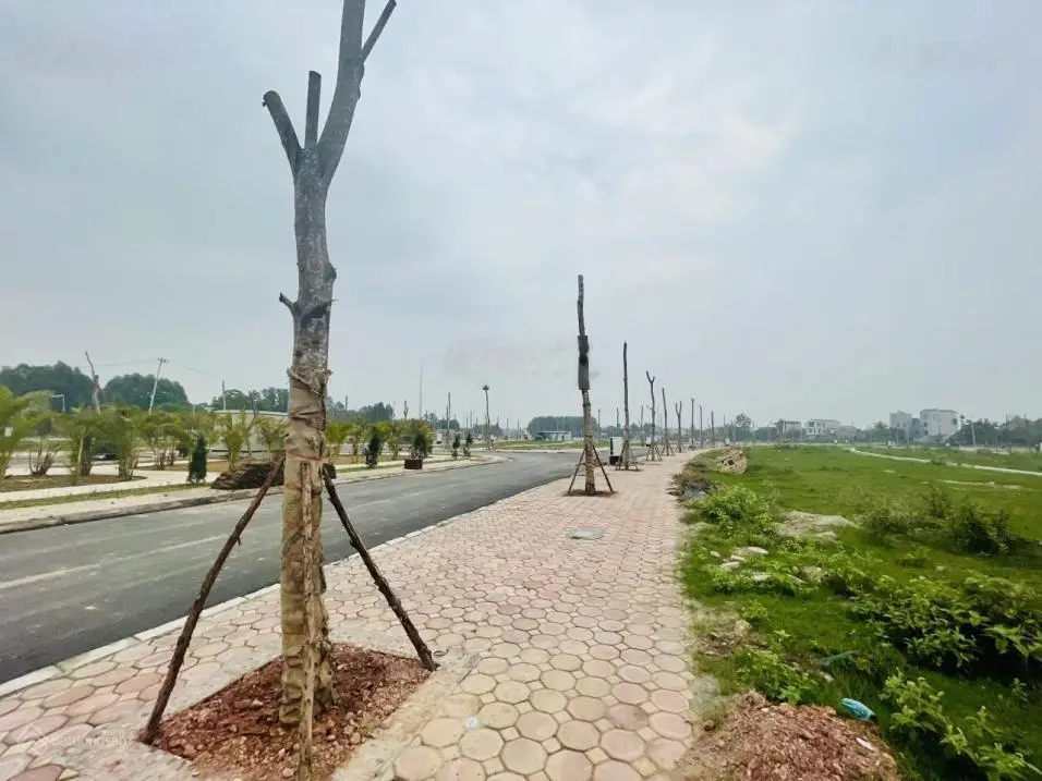 Bán suất ngoại giao trực tiếp CĐT dự án Mỹ Độ Vista City giá chỉ từ 2,4 tỷ sổ đỏ trao tay