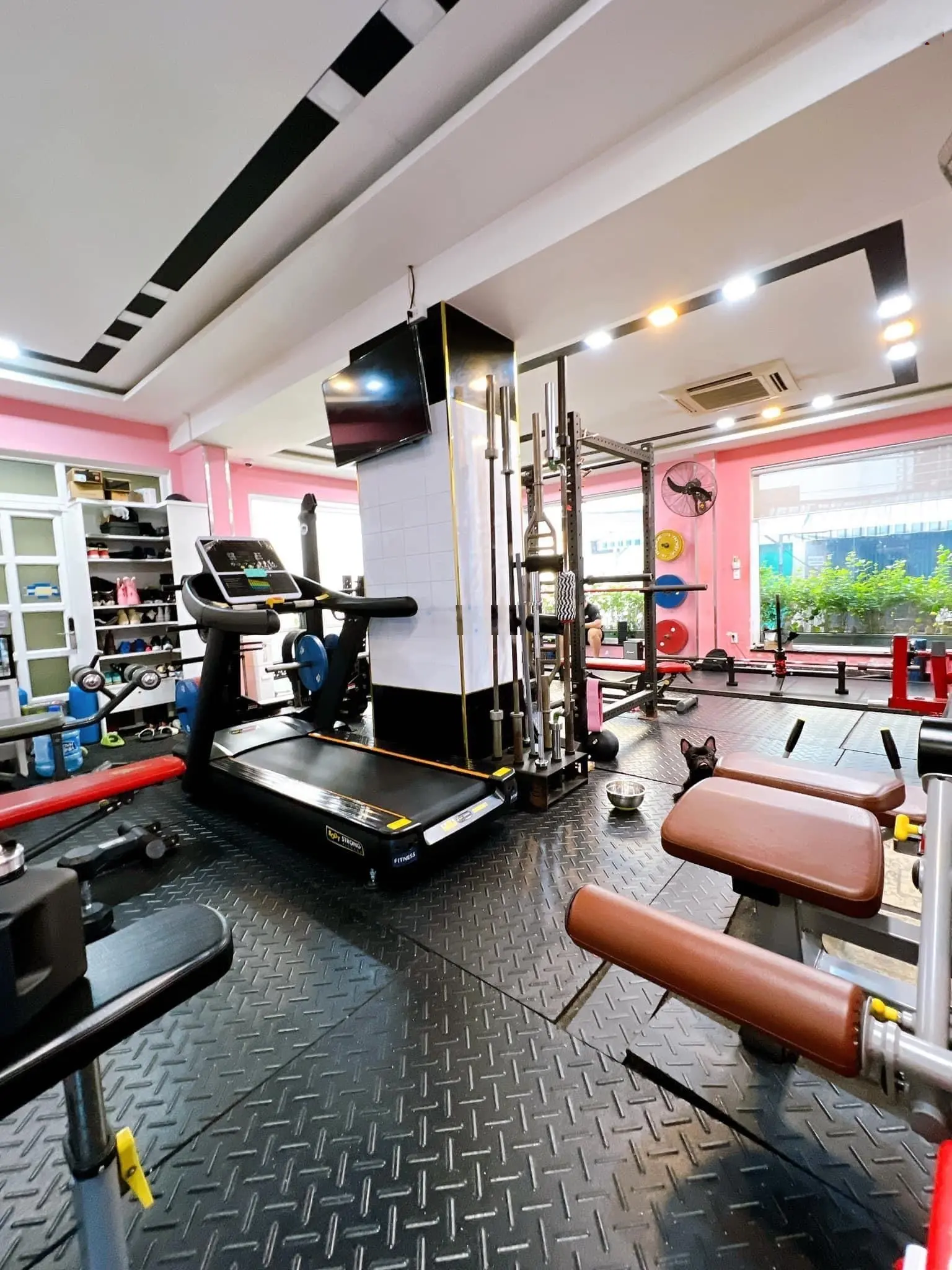 Bán nhà 2 mặt tiền đường số căn góc đang kinh doanh ngang 9m dài 10m, giá giảm sập chỉ 17 tỷ 780