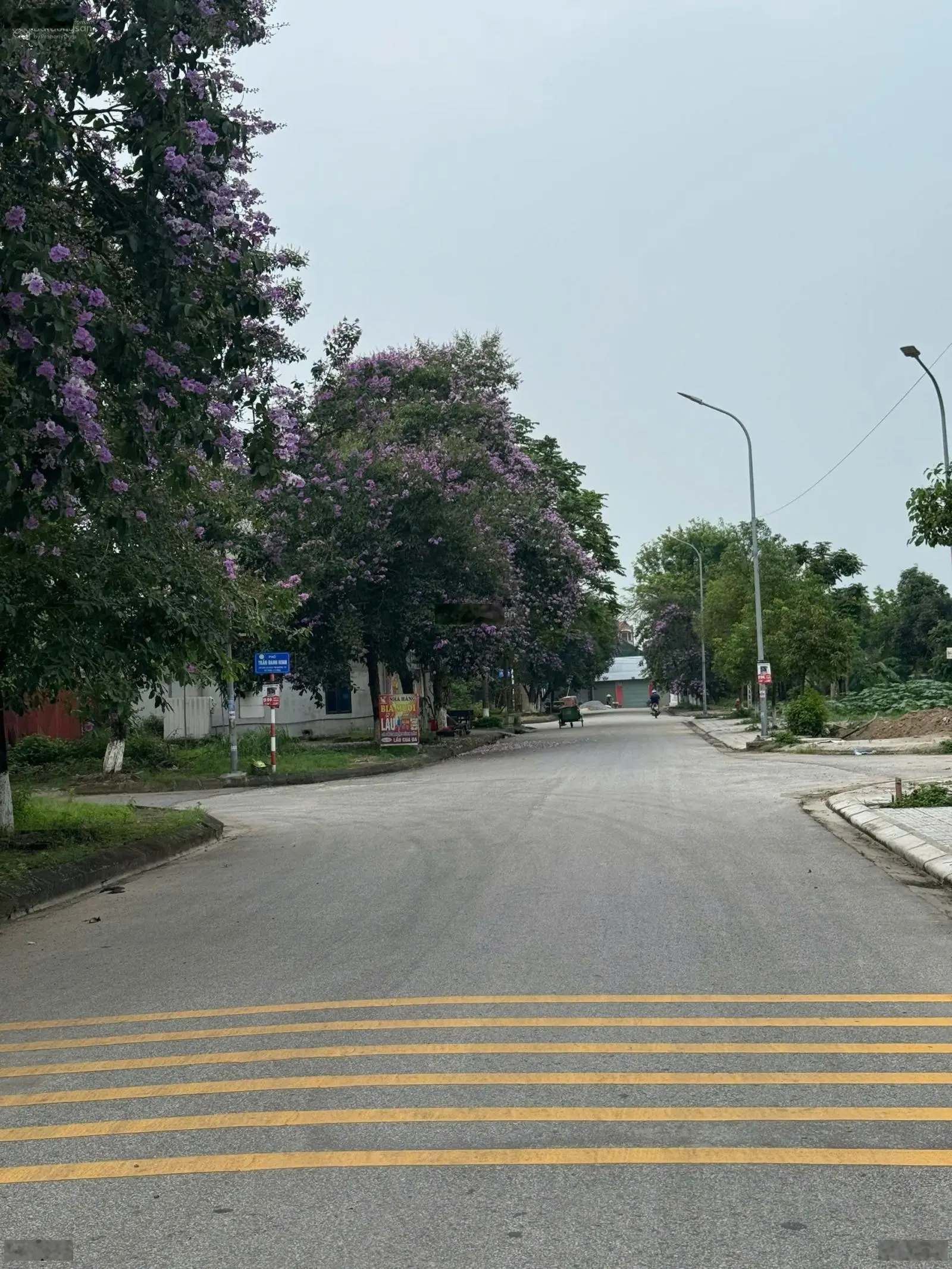 Bán Đất Giá Rẻ thị Trấn Gia Bình tỉnh Bắc Ninh 99m2