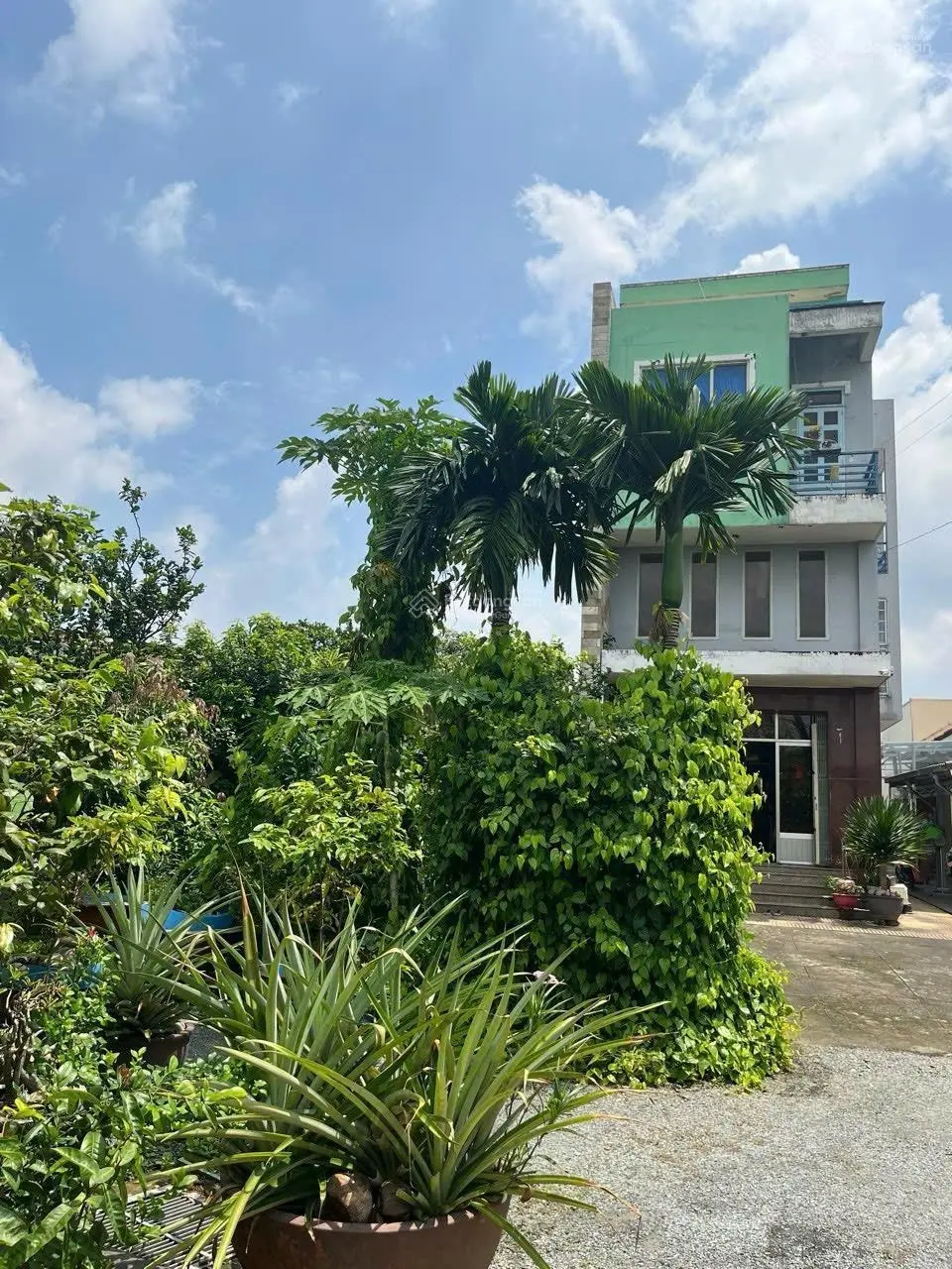 CHỦ THIỆN CHÍ BÁN HẠ 4tỷ CÒN 10TỶ Chủ mong muốn bán nhà vườn P Tân Vạn. Diện tích sổ 1032m2 .