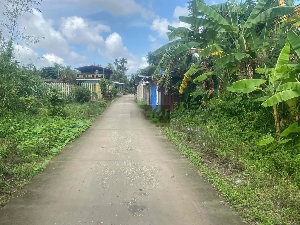cần bán