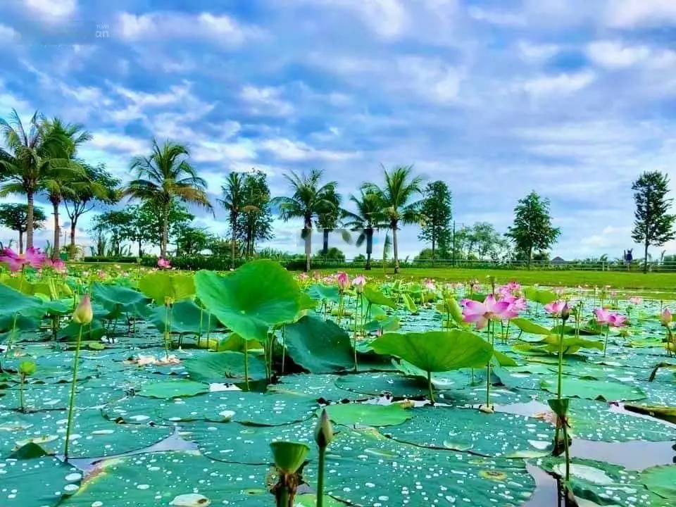 Bán gấp biệt thự view sông công viên - Park Riverside - Sổ hồng