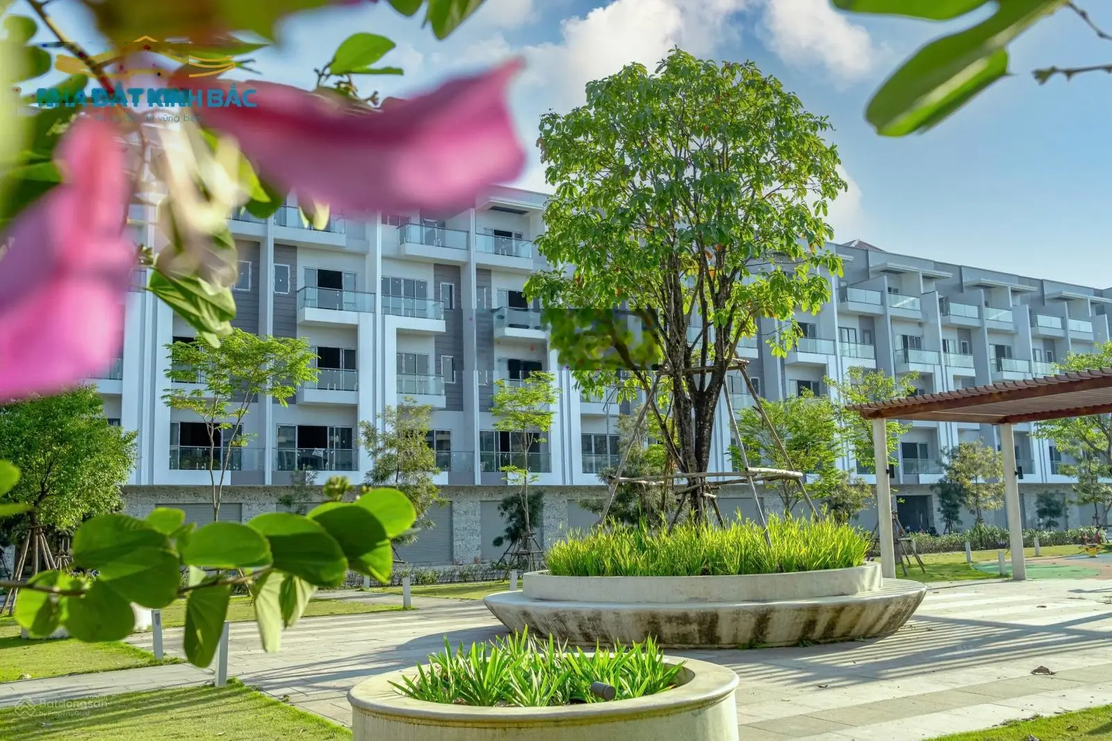 Chuyên nhà phố LK, BT Him Lam Đại Phúc Bắc Ninh - cập nhật giỏ hàng mới nhất tháng 11 - 2024