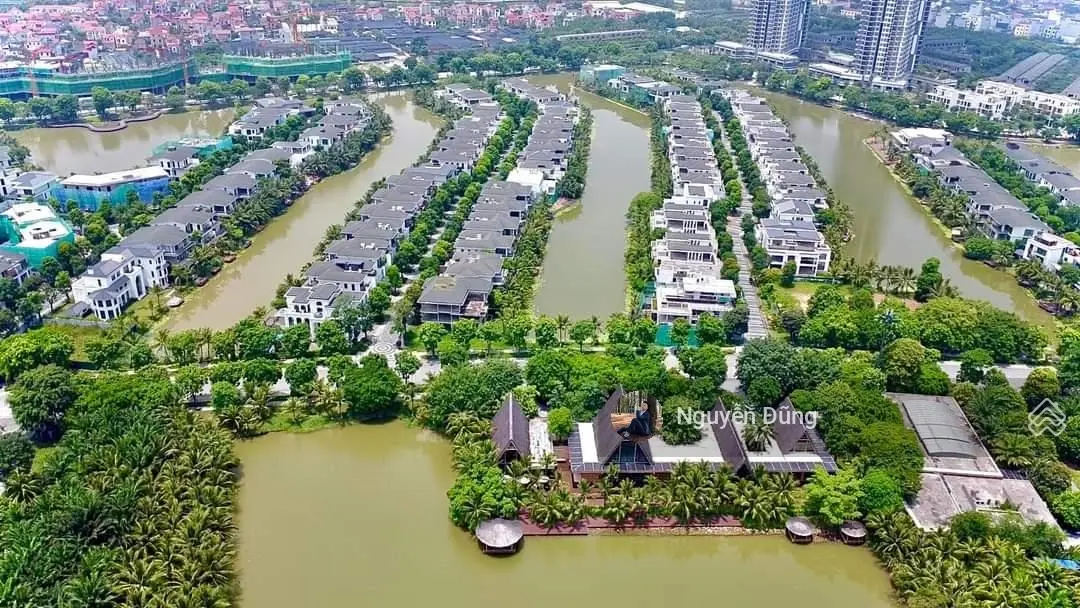Biệt thự đảo Ecopark từ 450m2 - Giá từ 95 tỷ bao phí, LH 0981 152 ***