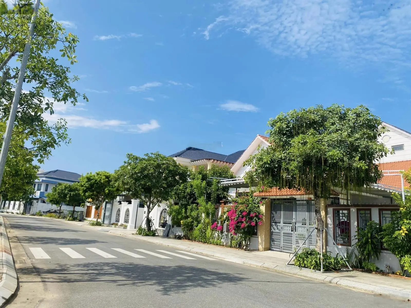 Bán đất biệt thự khu dân cư 577 Sơn Tịnh lô góc sát cổng LH 0981 650 ***