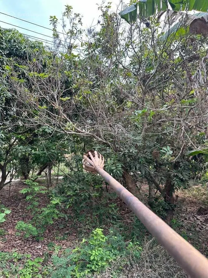 Chính chủ bán nhà và đất tại phường Tân Hội, TP. Vĩnh Long