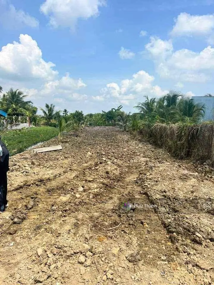 Em có nền 150m2/520tr ở đường Lâm Thành Hưng, P7, Sóc Trăng. Cách Trường Lâm Thành Hưng chỉ 500m.