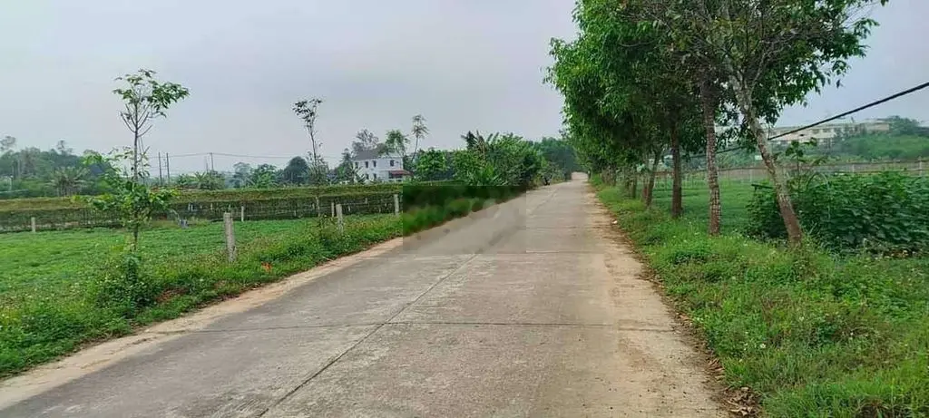 💥💥💥Chính chủ cần bán trồng cây hoà phú