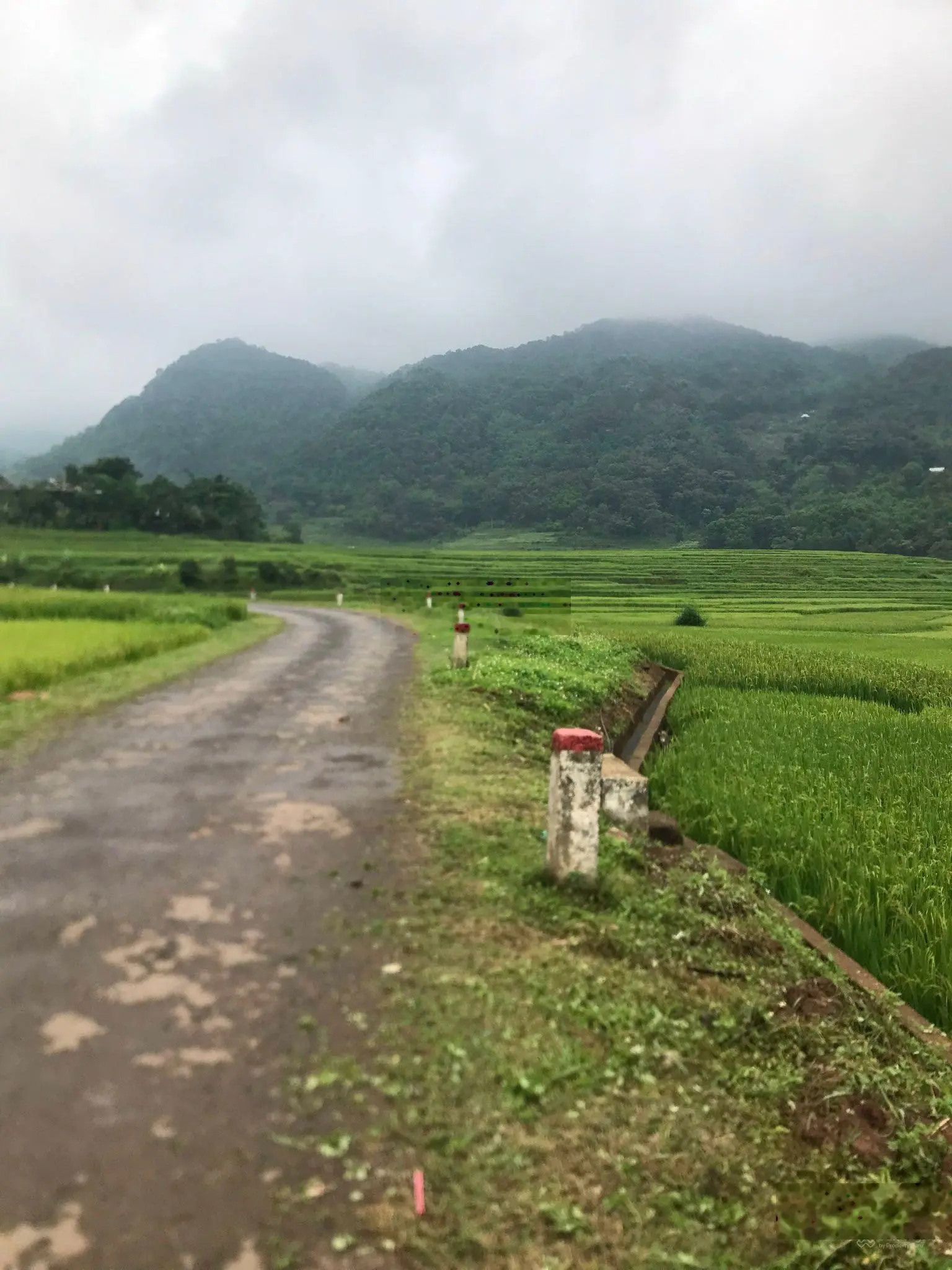 Bán đất Cao Phong Hoà Bình - 5606m2 giá chỉ 420 triệu, LH 0985 387 *** Ms Thúy