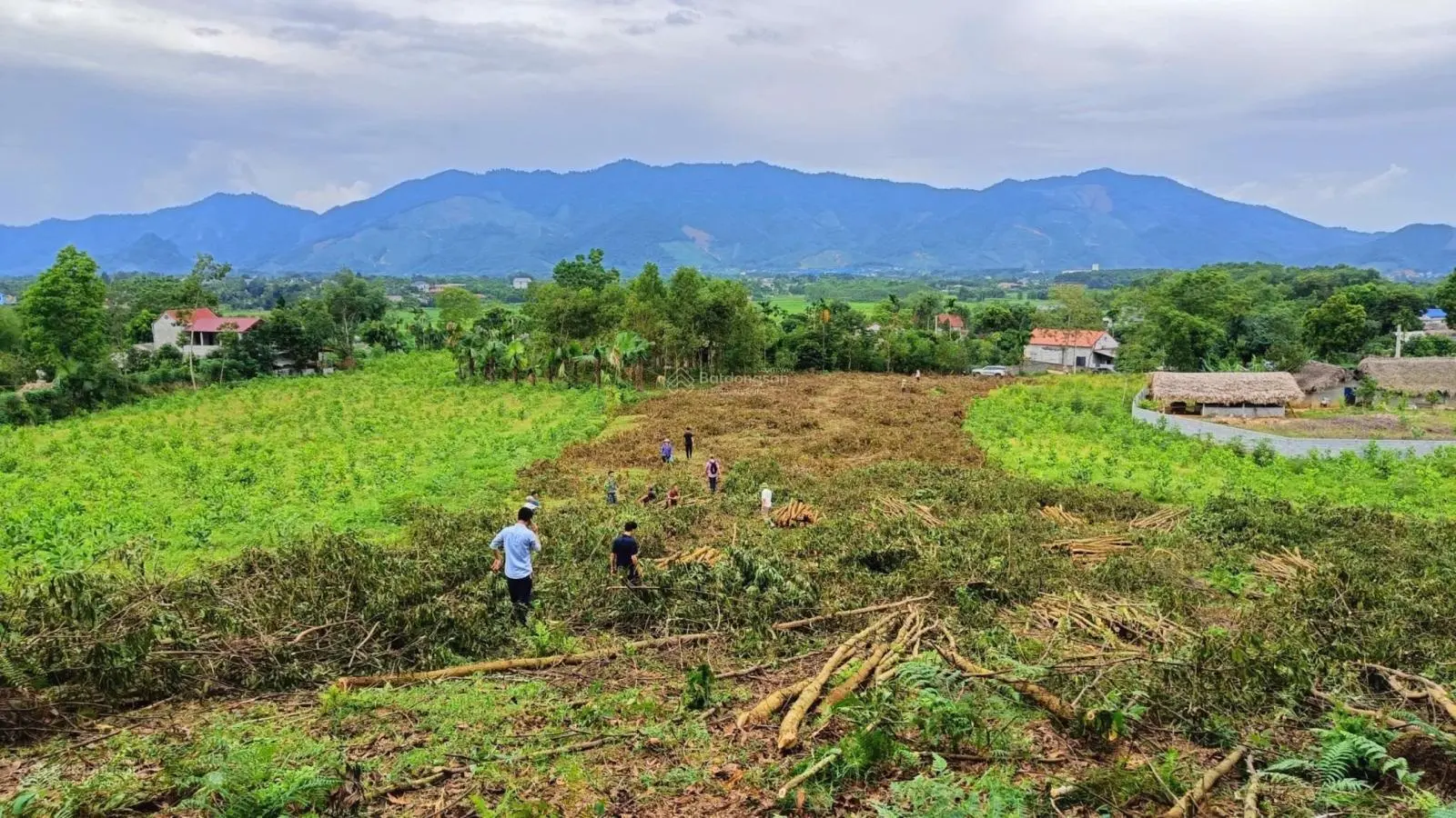 Bán 6000m2 view đồi chè có thổ cư, bám đường lớn, đất phẳng tại Hưng Long, Yên Lập, Phú Thọ