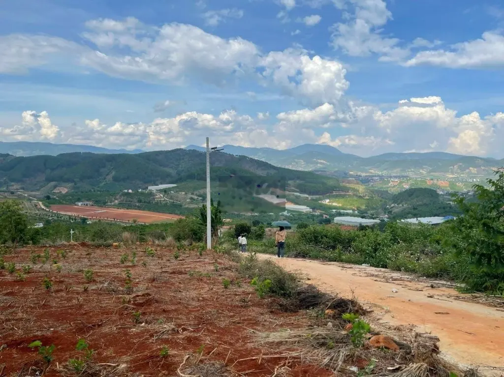 ĐẤT NGHỈ DƯỠNG VIEW ĐỒI THÔNG, VIEW TẦM NHÌN XA 20 - 30KM