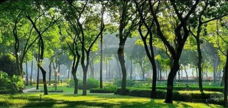 Giỏ hàng Diamond - Celadon City mua trực tiếp từ CĐT chiết khấu 10 - 17%, view đẹp, nhà mới ở ngay