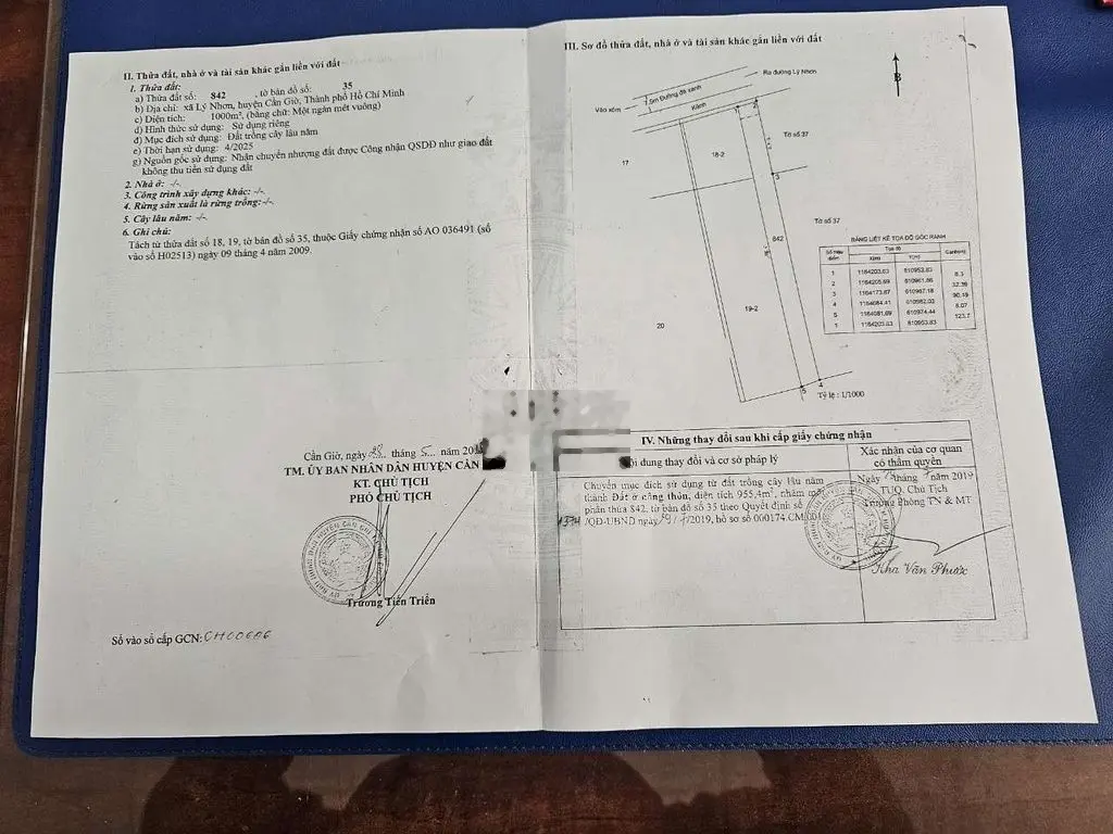 BÁN ĐẤT MẶT TIỀN ĐƯỜNG XƯƠNG CÁ XÃ LÝ NHƠN HUYỆN CẦN GIỜ