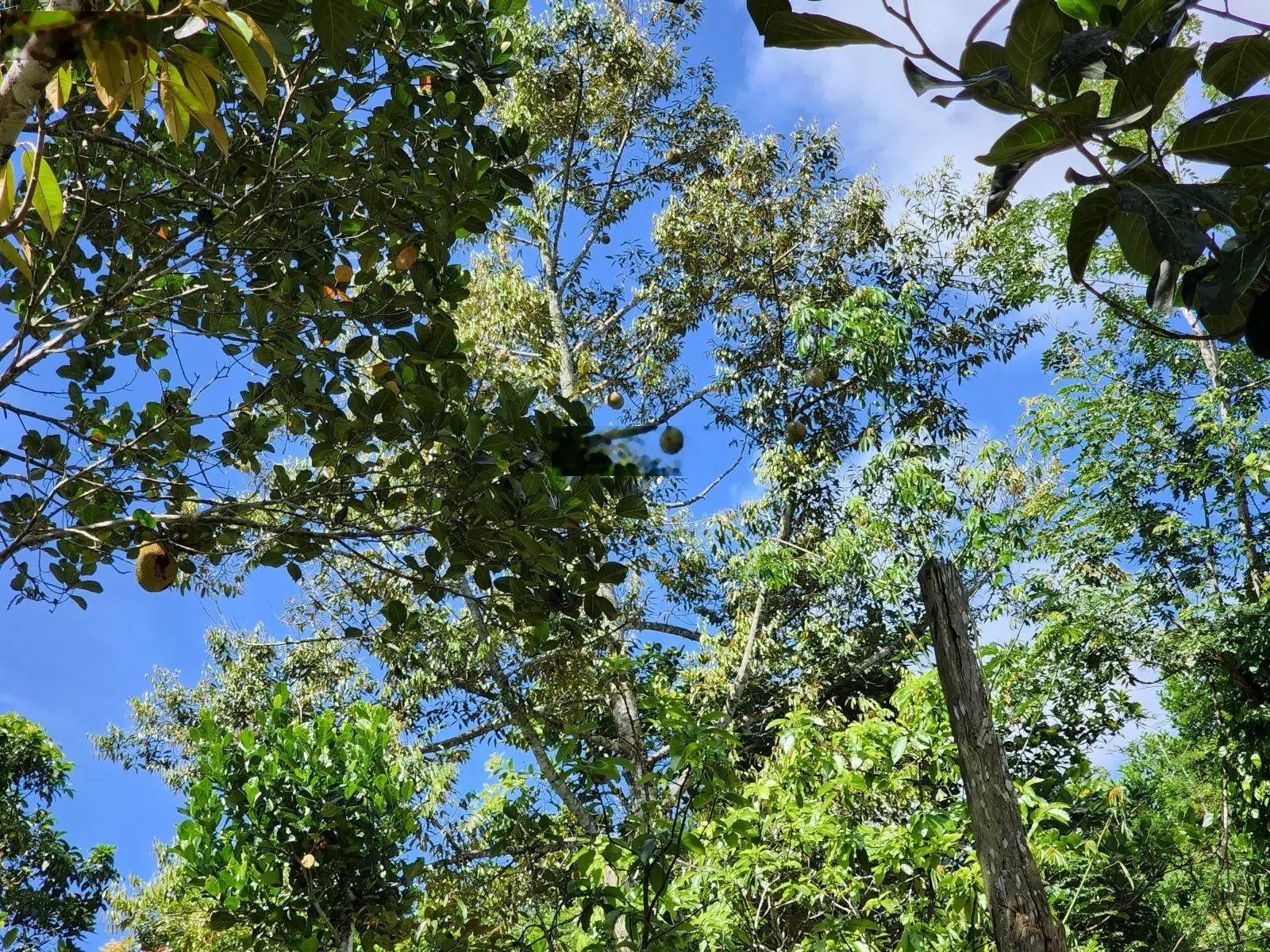 6.5ha, 390m mặt tiền QL28, suối chảy quanh năm, gần Gia Nghĩa Đắk Nông